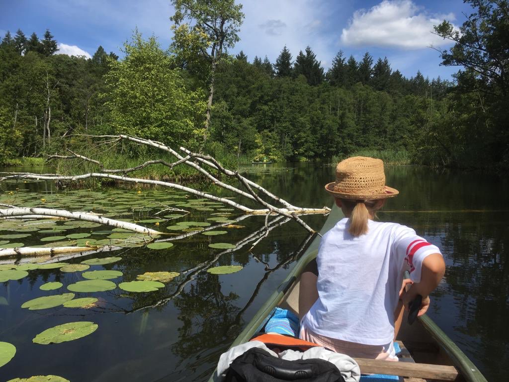 Reiseblog Viermal Fernweh (@Viermal_Fernweh) on Twitter photo 2020-07-08 05:49:39 Irgendwo im Nirgendwo und so schön.
#Brandenburg #paddeln #mecklenburgerseenplatte #wassertourismus #ttot Irgendwo im Nirgendwo und so schön.
#Brandenburg #paddeln #mecklenburgerseenplatte #wassertourismus #ttot