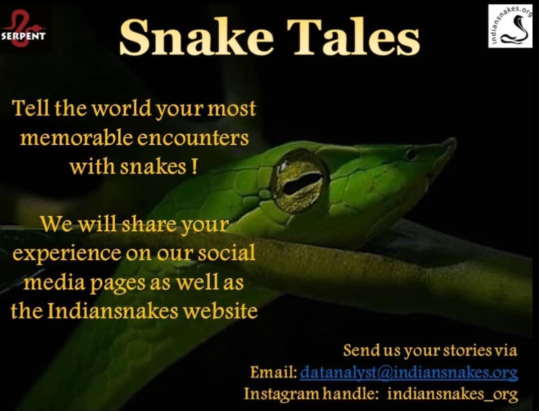 Indiansnakes.org tweet media