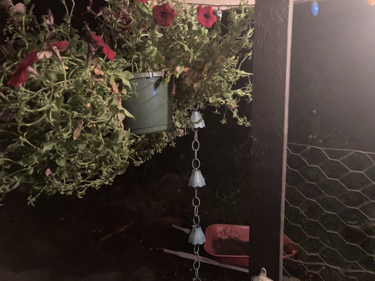 MParascandalous's tweet photo. @emilygardenshow @jonlovett #rainchains https://t.co/OTiYH6XLGO
