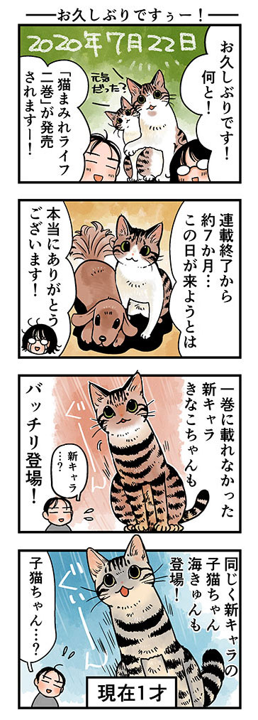 \大好評?予約受付中/

山野りんりんさんの4コマ漫画「猫まみれライフ」のコミック第2巻は2020年7月22日発売!??
フェリシモ通販&Amazonさんで絶賛予約受付中です♪

初版特典やキャンペーン情報などの詳細はこちら⇒https://t.co/j5jDxZtJq3 

#猫まみれライフ 