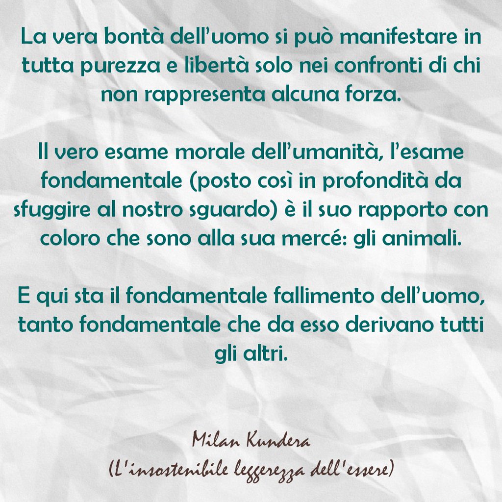 PaolaBonfadelli's tweet photo. #buongiorno 💚🐾🌼#8luglio 
#lovedog #dogmom #Ambra 💜 https://t.co/rpCte4gRXC