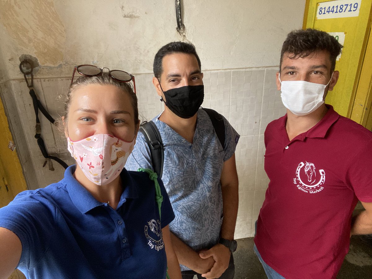 EgitimTay's tweet photo. Türkiye’nin tek Osteopati Uzmanı Veteriner Hekim Fikret Memişoğlu TEM- Rehabilitasyon Sistemimizin en önemli takım arkadaşlarından biridir. Osteopati’nin atlar üzerinde iyileştirici etkileri ciddi orandadır. 
#temrs #horses #osteopat #osteopati @fikretmemisoglu https://t.co/dbBNbYb3nf