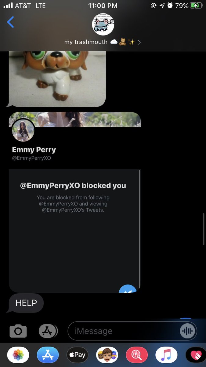 they even got blocked by emmy perry which just proves how toxic she is