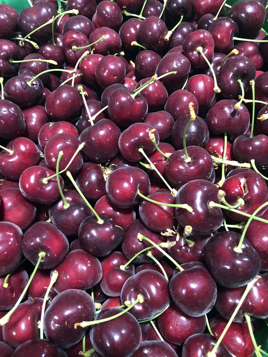 HullandCaroline's tweet photo. They don’t get any better than this! Beautiful #British #cherries from @westgrowers https://t.co/iKrKHC7g7X