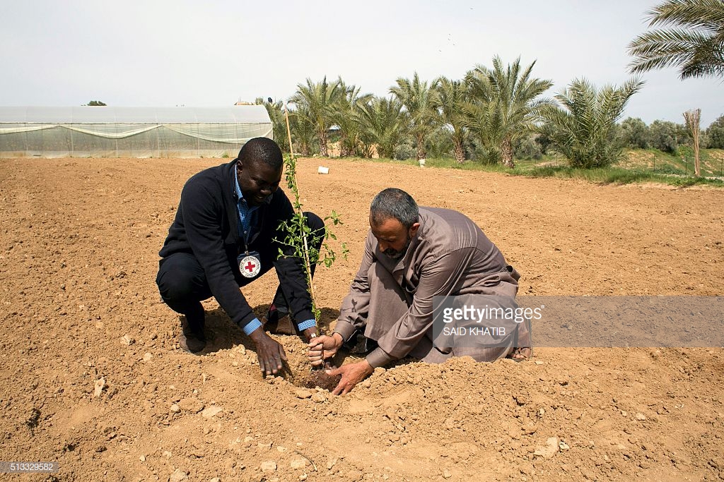 Plant a tree, even if you won’t see its fruits.

Never relent in your pursuit of a just and equitable world, even if you won’t live to see it.