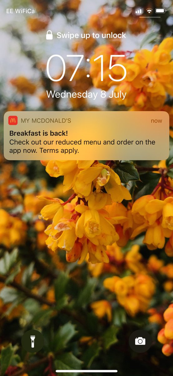 hitsatbreakfast's tweet photo. BEST🌟NOTIFICATION🌟EVER‼️ #BreakfastIsBack #mcdonaldsuk https://t.co/qJXLI1eZR1