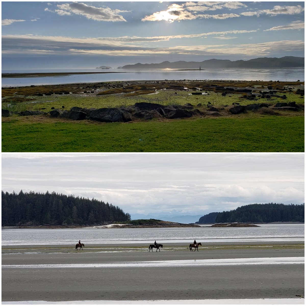 CoombsCountry's tweet photo. July 8, 2020. View E from #PortHardy (above) and #StoreysBeach (below). #VancouverIsland #BritishColumbia #Canada https://t.co/TaFPK6IuYk