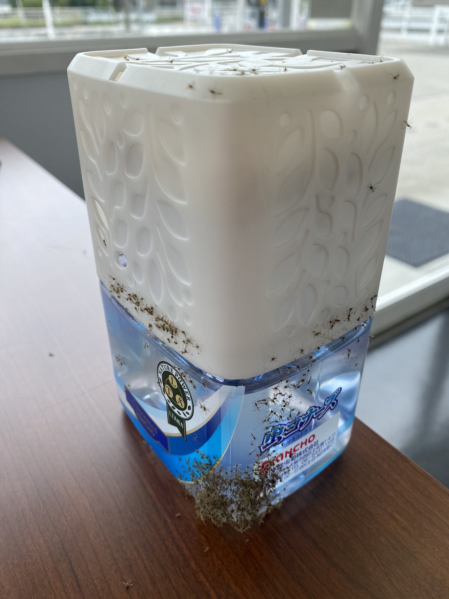 09たろ C Gel ん 期待してた効果は逆なんだよ 虫コナーズ Kincho T Co Kovvewsrda Twitter