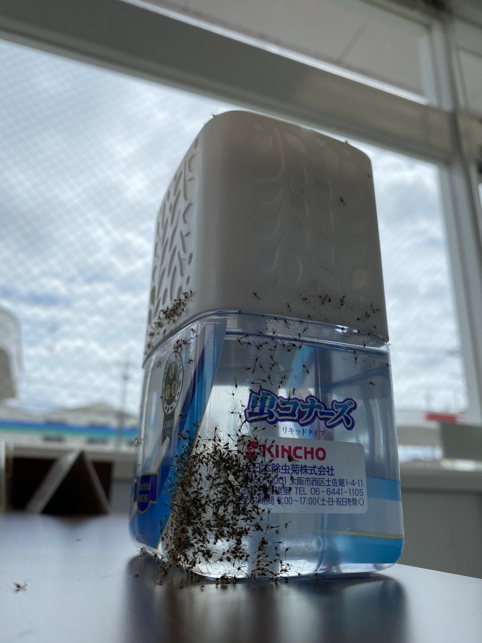 09たろ C Gel ん 期待してた効果は逆なんだよ 虫コナーズ Kincho T Co Kovvewsrda Twitter