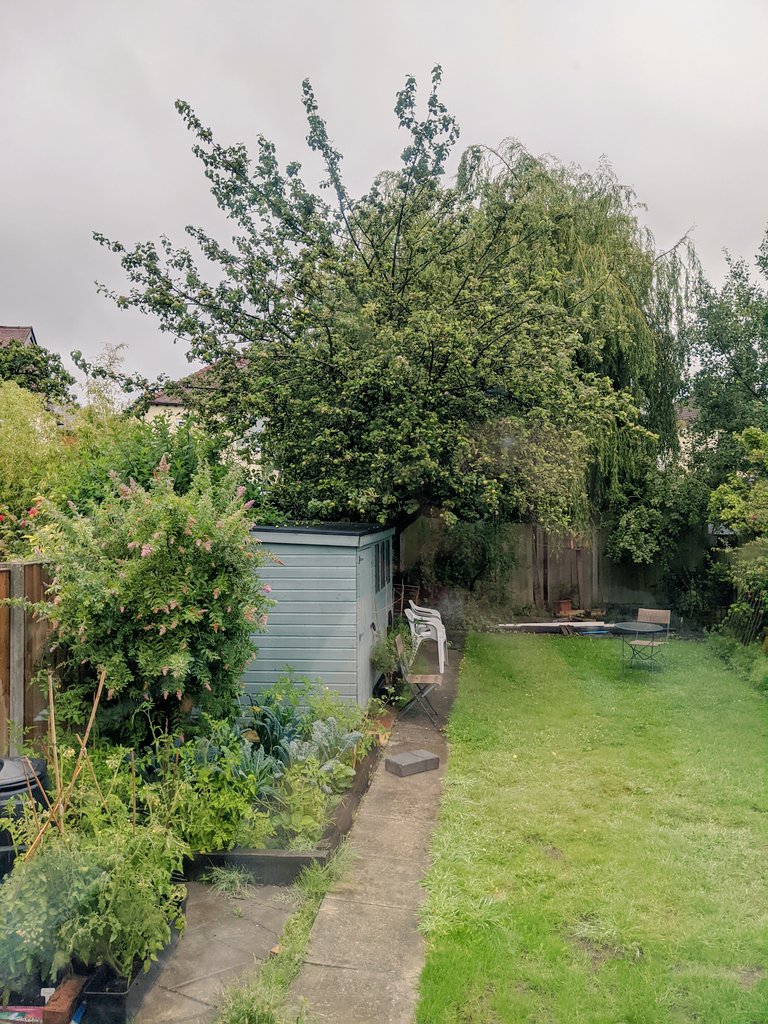 Alex_Dunn88's tweet photo. @Kim_C_Cooper A bit messier than others but we've got a bumper crop of tomatoes, kale, onions and loads of berries! #paswithplants #lockdownplanting https://t.co/cjqjH7Au2d