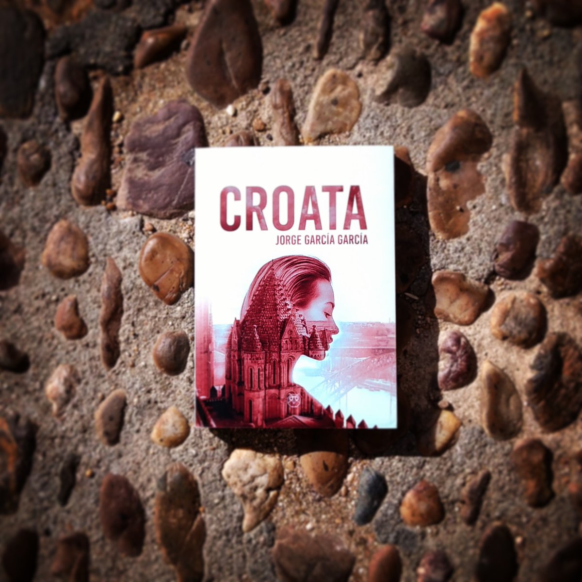 CROATA, novela finalista del #PremioAzorín ambientada en #Salamanca.

#novelanegra #libros #novela #thriller #literatura #leer #noir #lecturas #megustaleer #libro #lectura #leoyrecomiendo #queleer #novelas #novelapoliciaca #yoleo #Porto #Catedral #novelanegraespañola #generonegro