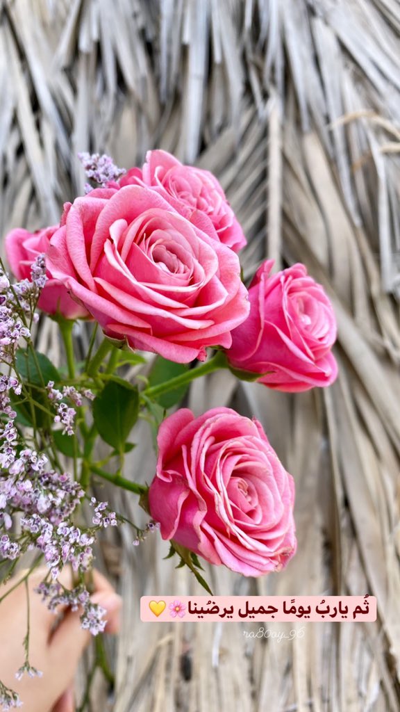 RrMm747's tweet photo. #صباح_الخير https://t.co/dnWuTnrRRV