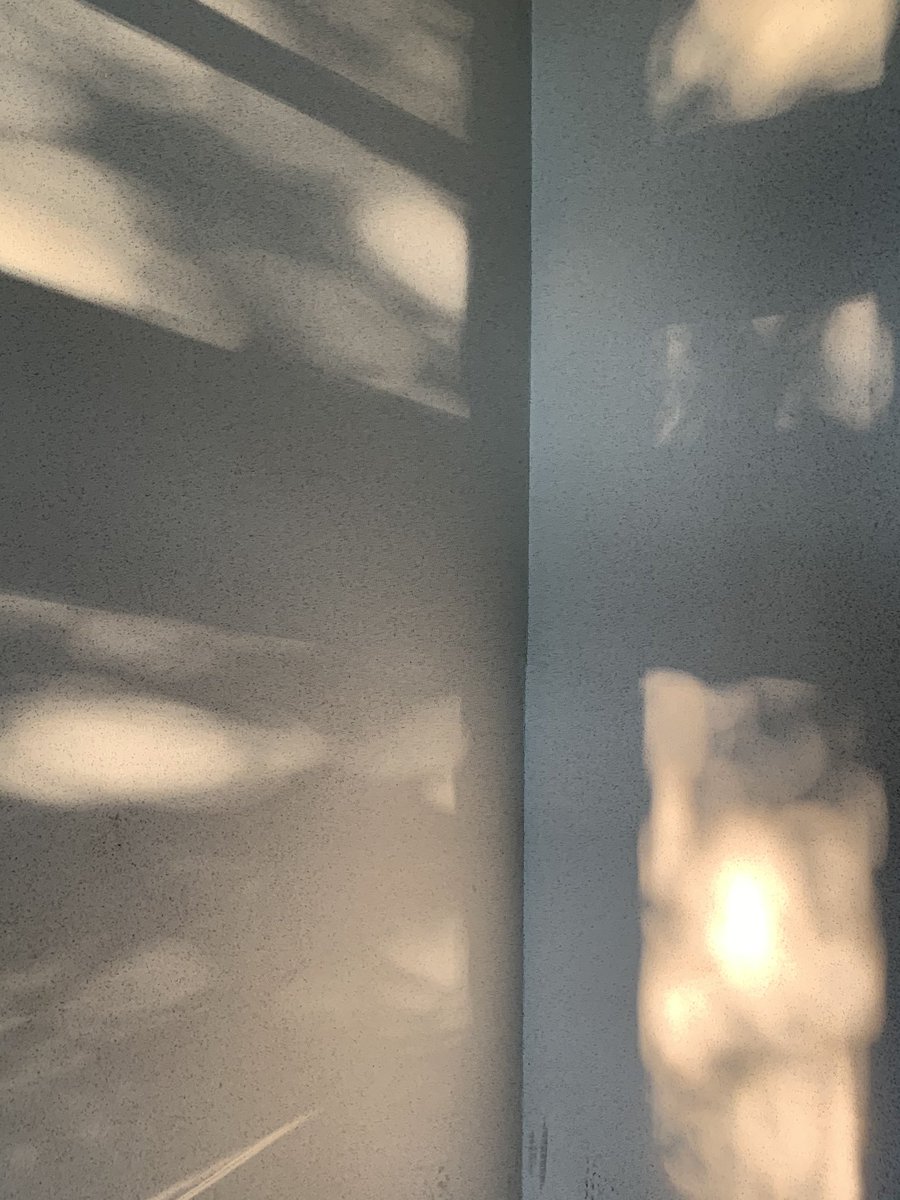 iris_archive tweet picture