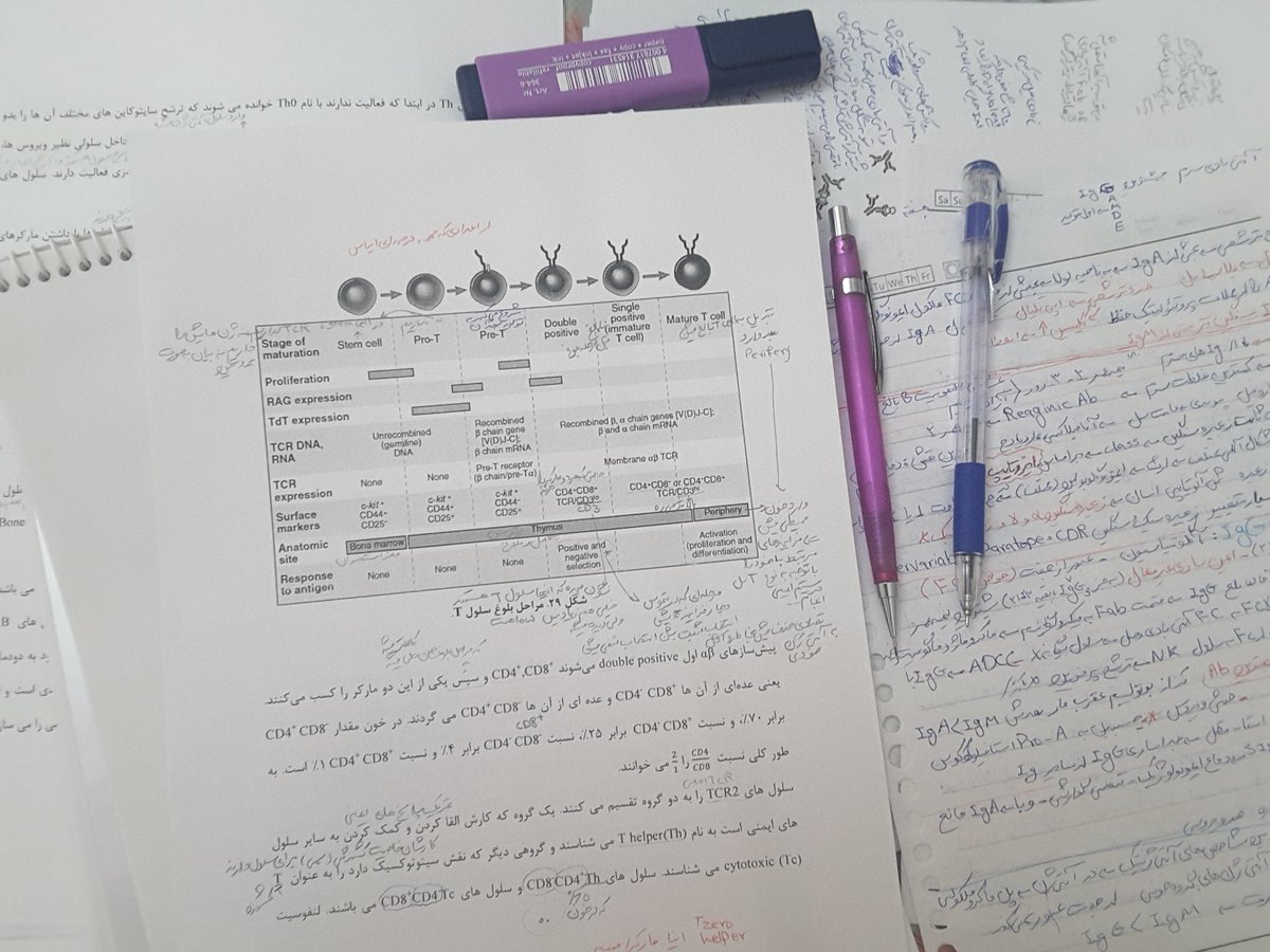 Pri_in_Japan's tweet photo. Me trying to finish my exams before my exams finish me!!π
It's 11:30AM and i couldn't sleep at all last night(and even the night before that)cuz i needed to study this Immunology non-stop and now i can't even see my Tablet's screen well!ππ
#NeveEndingExams #NeverEndingStudy https://t.co/leHx7hHVFO
