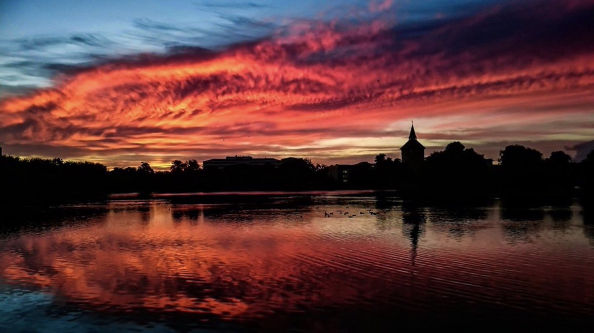 Good morning 
#archivephoto #malmö #photofrommyheart