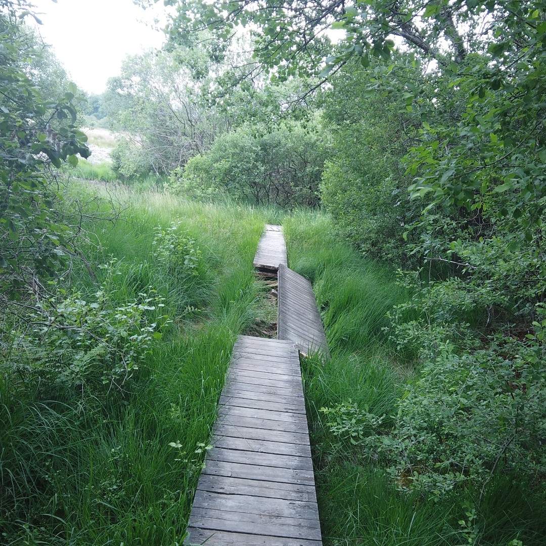 GazorTrail's tweet photo. https://t.co/ex6oZt2xEI #exploring #valley #backcountry #bush #backpack #hiking #camping #tent #walking #camping #trails #trailgazor #views #amazing #nature #forest #village #germany #belgium #border https://t.co/BIk7Vwhipd