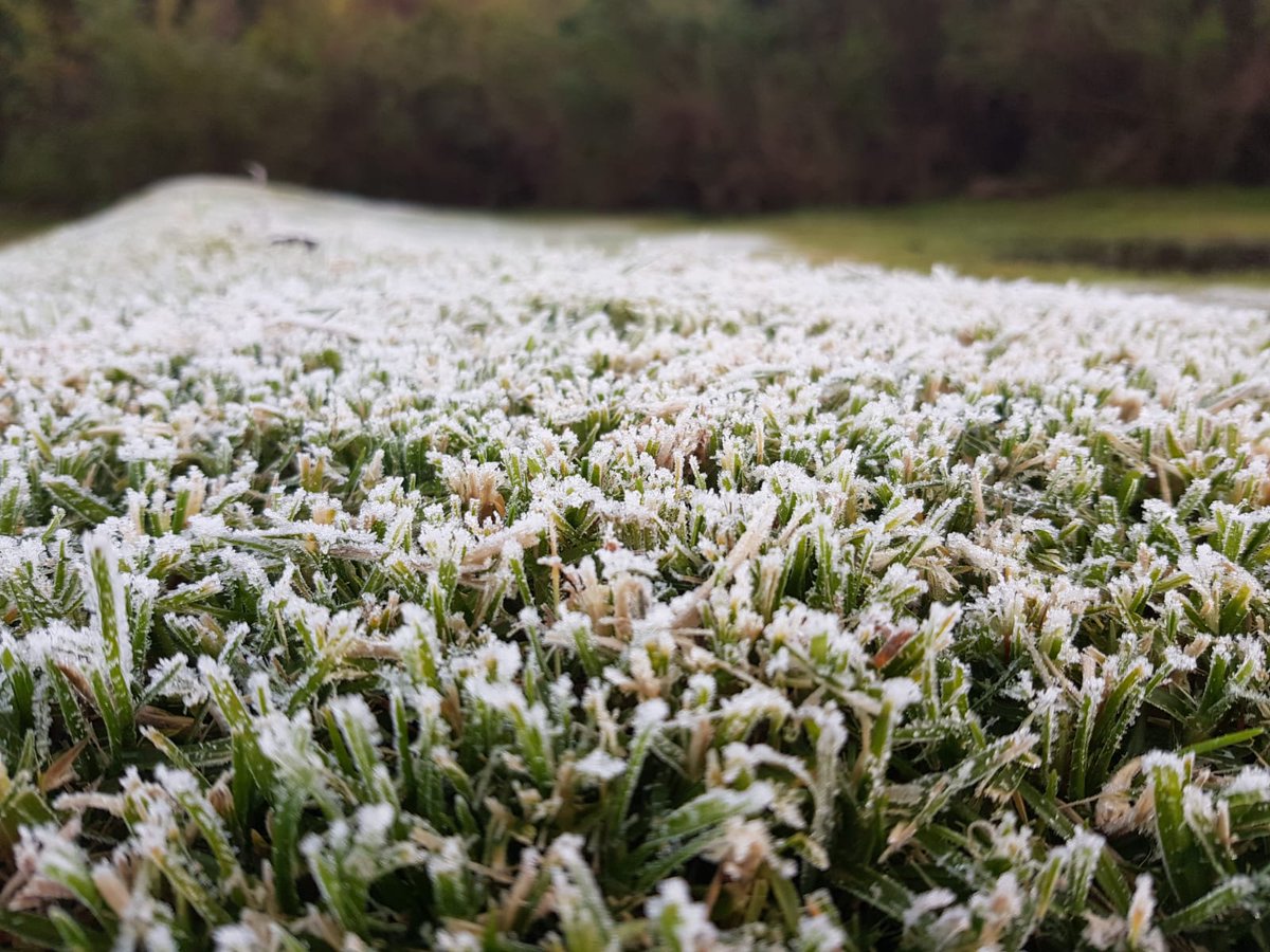 creationwines's tweet photo. A rather chilly 3degrees start to the day on the farm this morning! Good thing we have some comforting treats from our chefs to look forward to👌😜 join us!
#lovecreationwines #hemelenaarde #coolclimate #cocoontocreation #creationmetamorphosis https://t.co/qwOZQ2UvhD