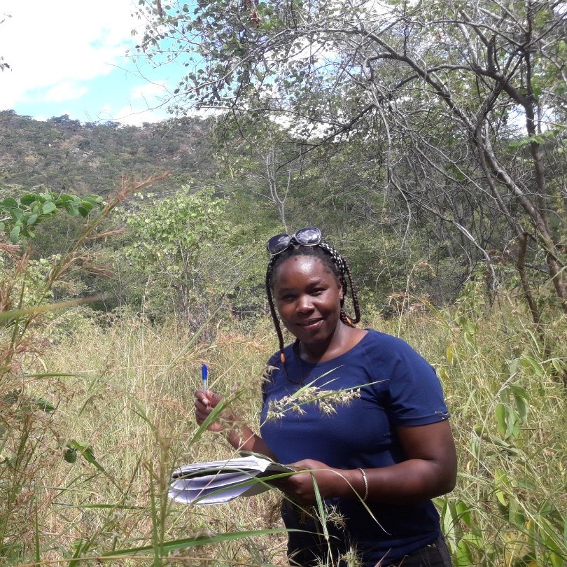 WildAidAfrica's tweet photo. Congratulations Dr @MoreangelsM selected to receive a FieldKit from @FieldKitOrg! Known in Zimbabwe as ‘The Lion Lady', Dr. Moreangels is founder of @action_wildlife. The #FieldKit50 will be essential for her wildlife conservation and community development programmes. 🙌🏾🐾 https://t.co/8465egQBty