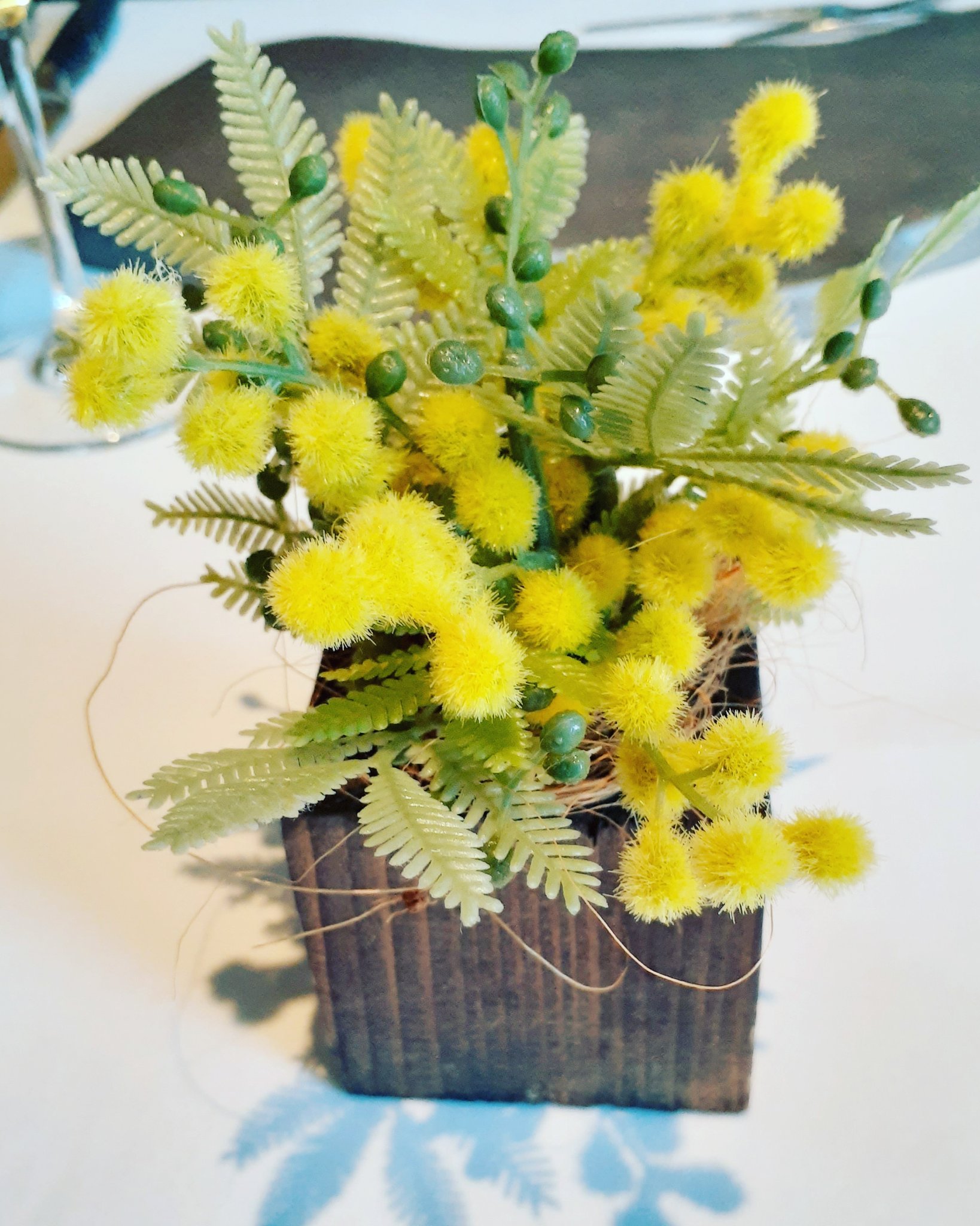 K Hideki オーストラリアの国花 ワトル フランス名 ミモザ です アカシア属の花 写真は造花 Wattle T Co Kp64jqpgx3 Twitter