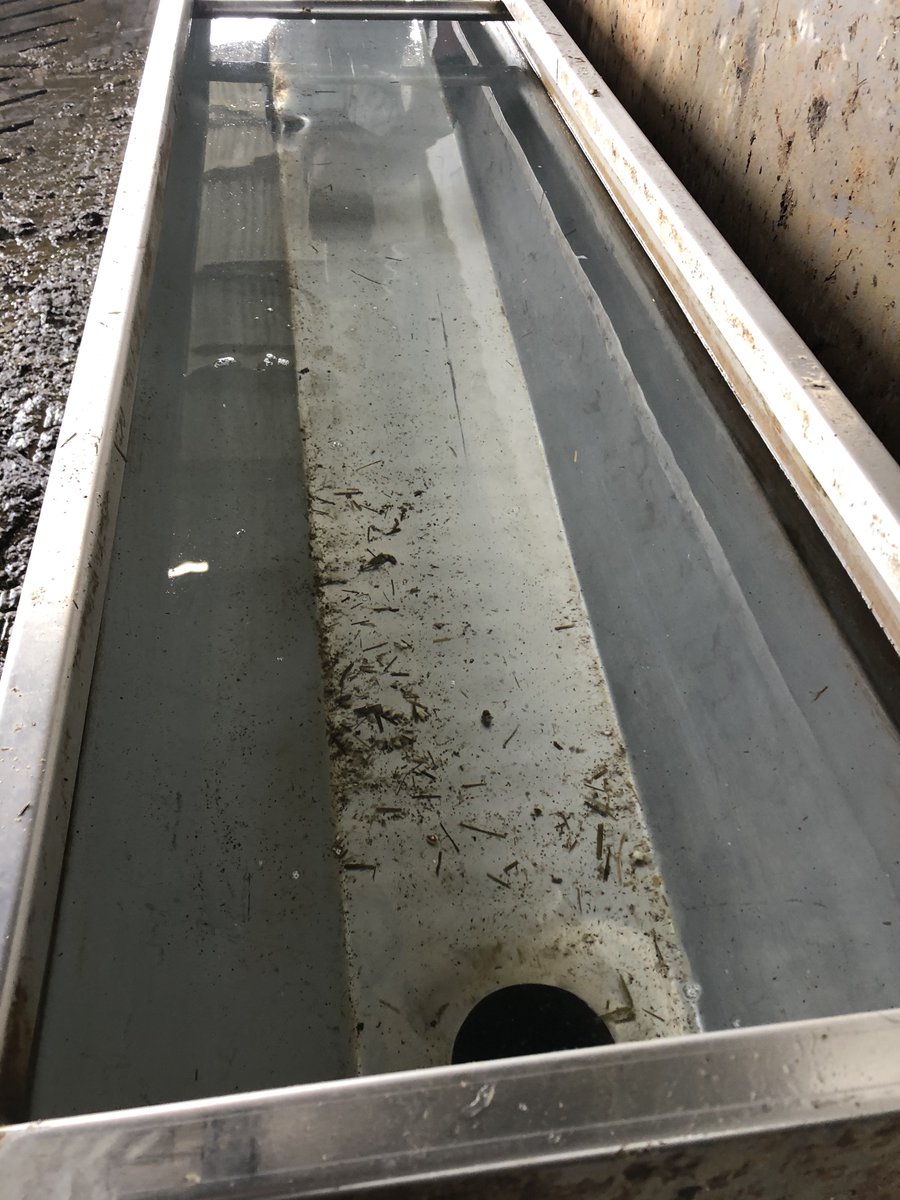PruexLtd's tweet photo. Clean water to clean milk. Introducing the Pruex Borehole Dosing Pump.
https://t.co/JNHIn9qgA2 #Antibiotic  #AntibiocGuardian #CleanMilk #Farming365 https://t.co/x0Ji4w8uxo