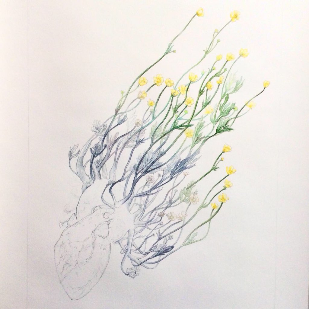 MarasRainyDays's tweet photo. #colouringprocess #ArcticHeart no. 11 with #buttercups

#art #artlife #amdrawing #illo #illustration #illustrationart #fineart #finearts #artoftheday #workinprogress #humanheart #wip #pencil #drawing https://t.co/8A08pCuApS