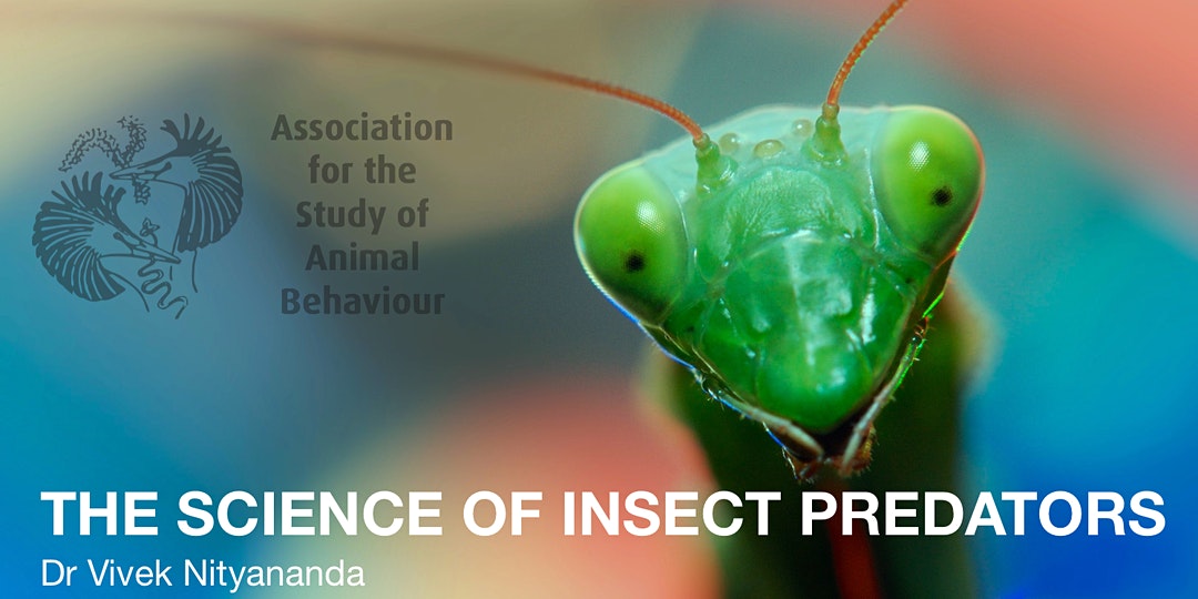 insectweek's tweet photo. Are you 16 - 19 years old & interested in #insects? Sign up for @ASABeducation's event with @VivekNityananda on 20 July at 14:00BST.
https://t.co/miPLjV8pby
#EntoAtHome #likeinsects #littlethingsthatruntheworld #entomology #behaviour #predation https://t.co/HuM93ADZYY