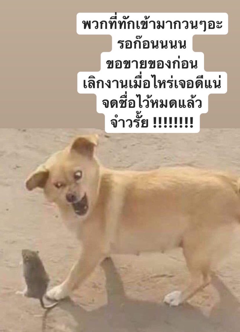 ฉันจดชื่อไอจีพวกเธอไว้หมดแล้ว 
คืนนี้เจอกัน !!!!!!!!!!!