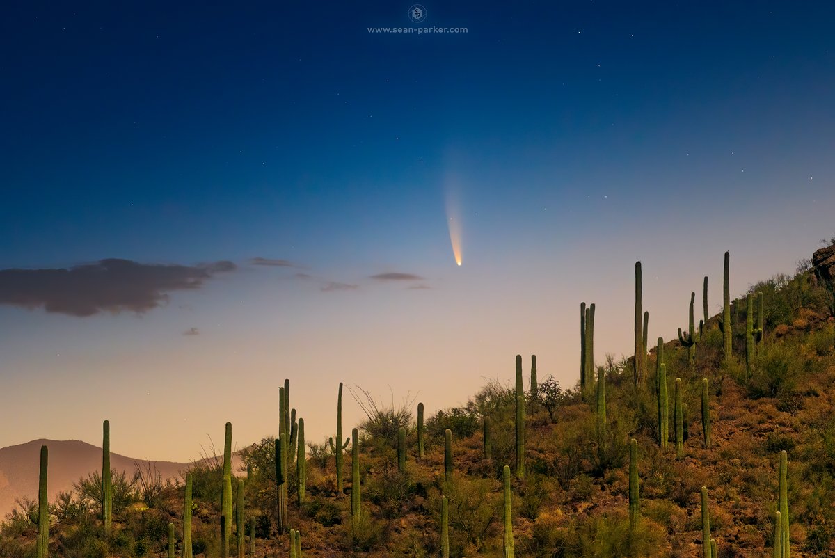 seanparkerphoto's tweet photo. Comet Neowise photographed in #Tucson about an hour ago! #cometneowise #NEOWISE https://t.co/UFYu8Ia0XK