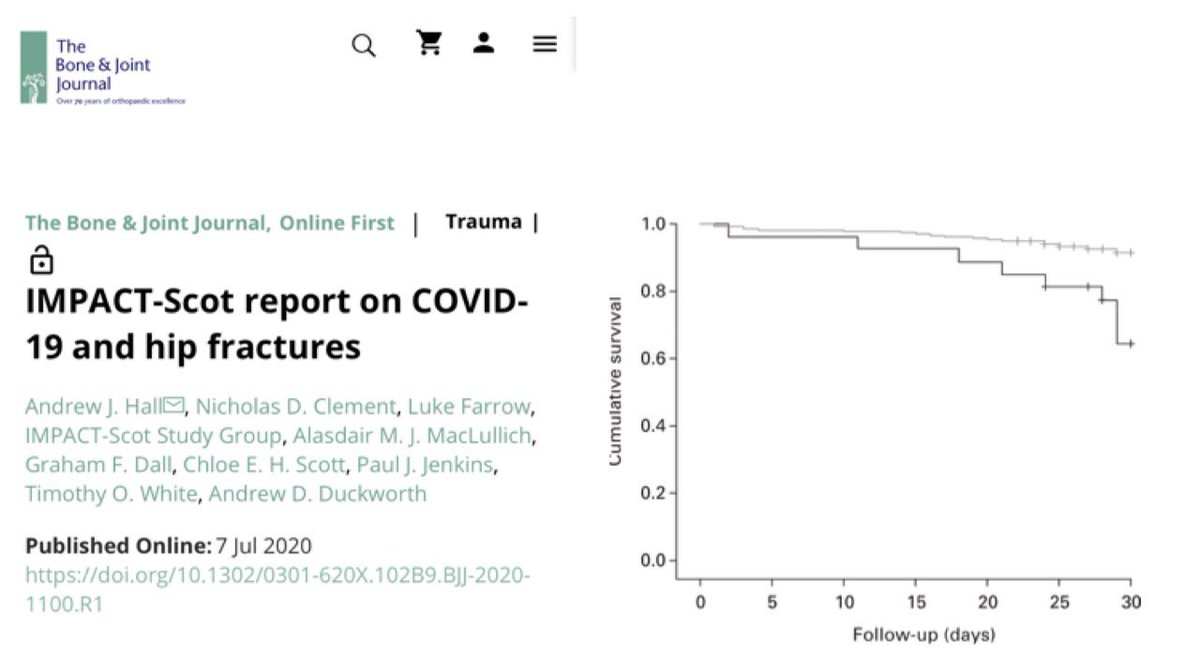 Chloe EH Scott tweet media