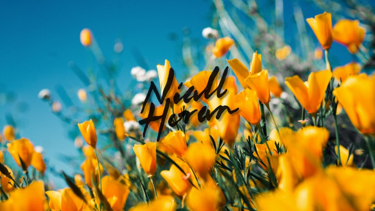 Heartbreak Weather songs as book covers : a thread  #HeartbreakWeather