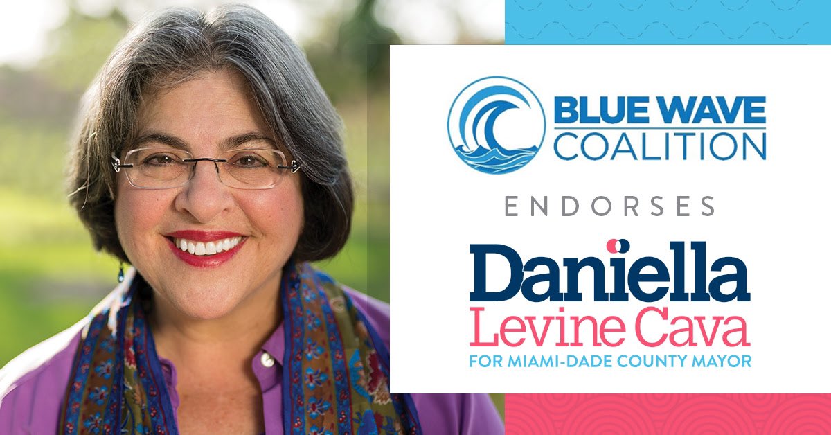 LevineCava's tweet photo. .@bluewaveMDC is working hard just like I am to make sure that every Miami-Dade voter can cast their ballot safely &amp; securely. I am delighted to receive their endorsement &amp; to continue our shared goal of bringing progressive, responsible, and inclusive leadership to County Hall. https://t.co/HwhO0u65Gt