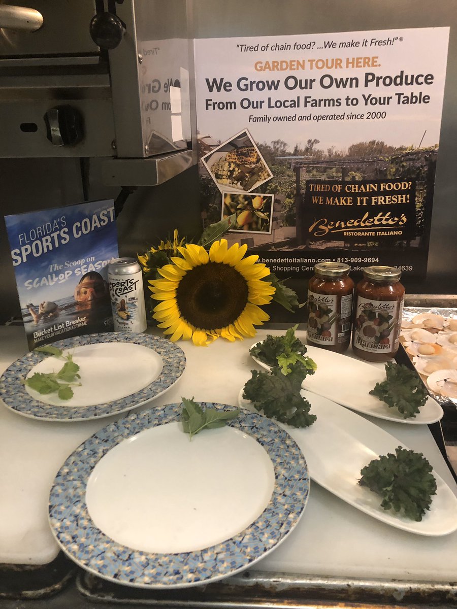 KKucyk's tweet photo. Getting ready to promote @FLSportsCoast scallop season on @FOX13News with Chef Ben Pumo of Benedetto’s. 🐚 #pascoscallopseaon #letsplay #flsportscoast https://t.co/oL8RAaOuij