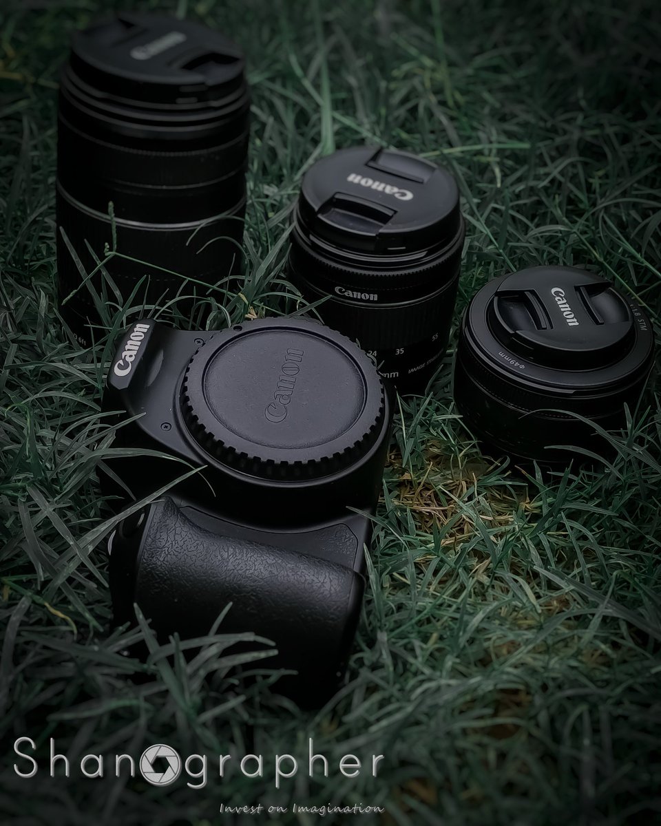 Shanographer tweet media