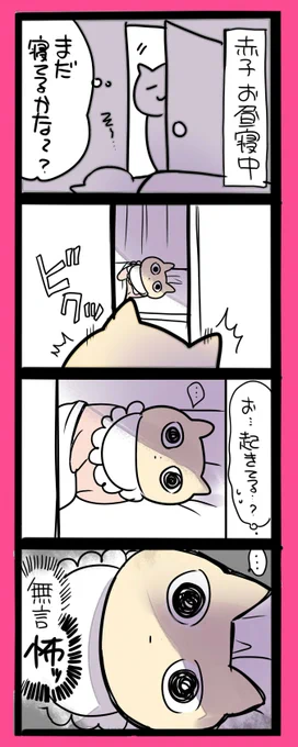 赤子をのぞく時、赤子もこちらを見てました。 