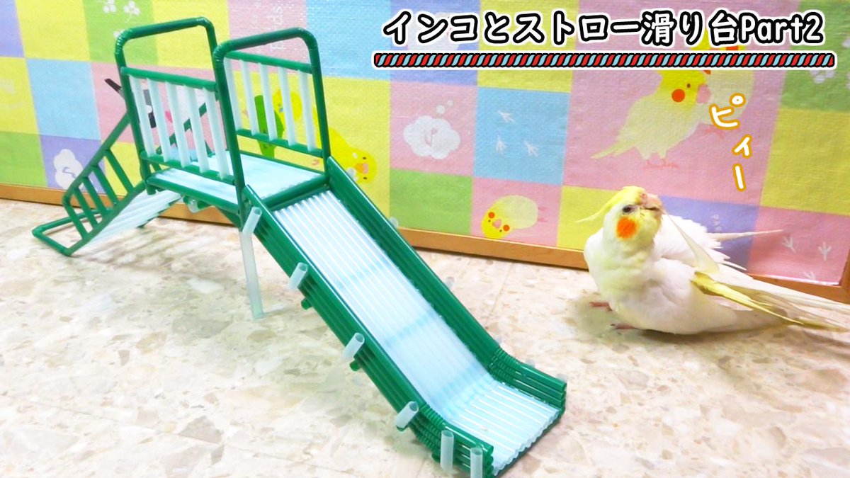 小桜さくら Youtubeを更新しました 手作りに興味ある方どうぞ コザクラ オカメインコにおもちゃを手作り 滑り台part2 T Co Eoms5lufrf ストロー工作 100均diy インコのおもちゃ