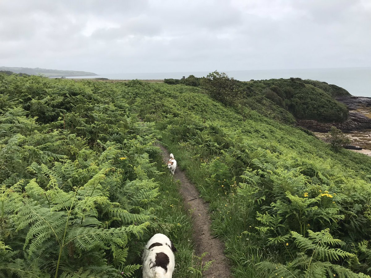 FizzMurphy's tweet photo. It feels so good to be here! ❤️Anglesey https://t.co/q7gjn6TdrL