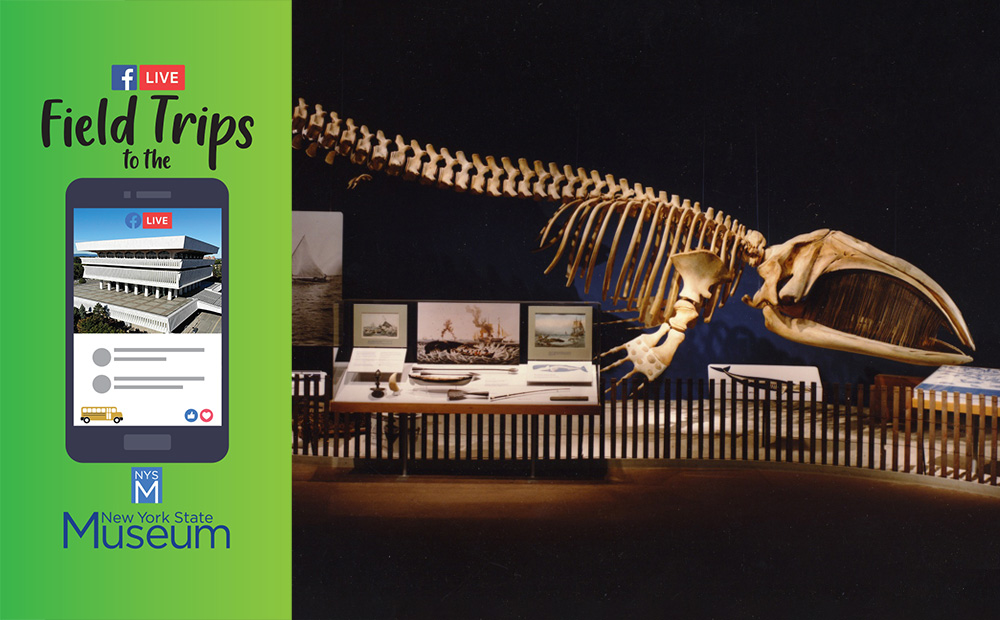 New York State Museum tweet media
