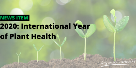 fermofeed's tweet photo. 🌱 2020: The International Year of Plant Health

𝘛𝘩𝘪𝘴 𝘺𝘦𝘢𝘳 𝘪𝘴 𝘢 𝘶𝘯𝘪𝘲𝘶𝘦 𝘰𝘱𝘱𝘰𝘳𝘵𝘶𝘯𝘪𝘵𝘺 𝘵𝘰 𝘳𝘢𝘪𝘴𝘦 𝘨𝘭𝘰𝘣𝘢𝘭 𝘱𝘭𝘢𝘯𝘵 𝘩𝘦𝘢𝘭𝘵𝘩 𝘢𝘸𝘢𝘳𝘦𝘯𝘦𝘴𝘴

Read more: https://t.co/JLiLMDNZlY https://t.co/6AfInIcSXz
