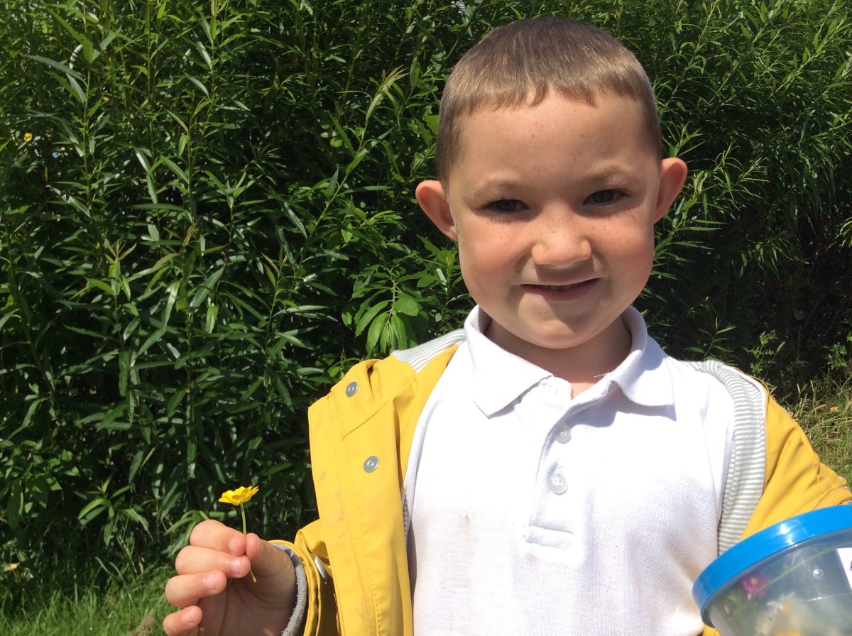 juckes's tweet photo. The sun is out, the sky is blue, there's not a cloud to spoil the view...
So it must be time for Reception to practise their identification and their finger skills.  
Who can tell the clover from the daisies from the buttercups? https://t.co/J8j82ycKya