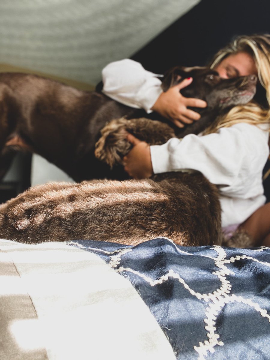 lbaby_25's tweet photo. I love my pups. I am that dog mom. 

Marly &amp; Millie 🐾❤️ https://t.co/A99QiYLy9T