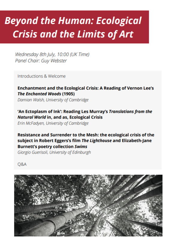 🌿CONFERENCE DAY 3🌿 The In Crisis conference continues this morning with 'Beyond the Human: Ecological Crisis and the Limits of Art'. Please note the earlier time of 10:00! There's still time to register at: drive.google.com/drive/folders/…