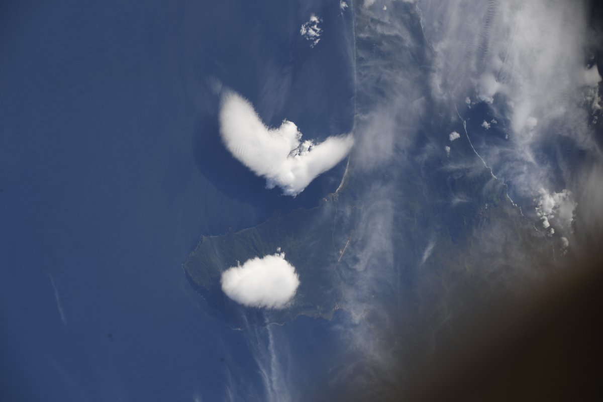 AsgardiaSpace's tweet photo. What do you see in this picture taken aboard @Space_Station by Russian cosmonaut #SergeyProkopyev during #ISS Expedition 56? We see a #PeaceDove! https://t.co/mBI8KpI8WK