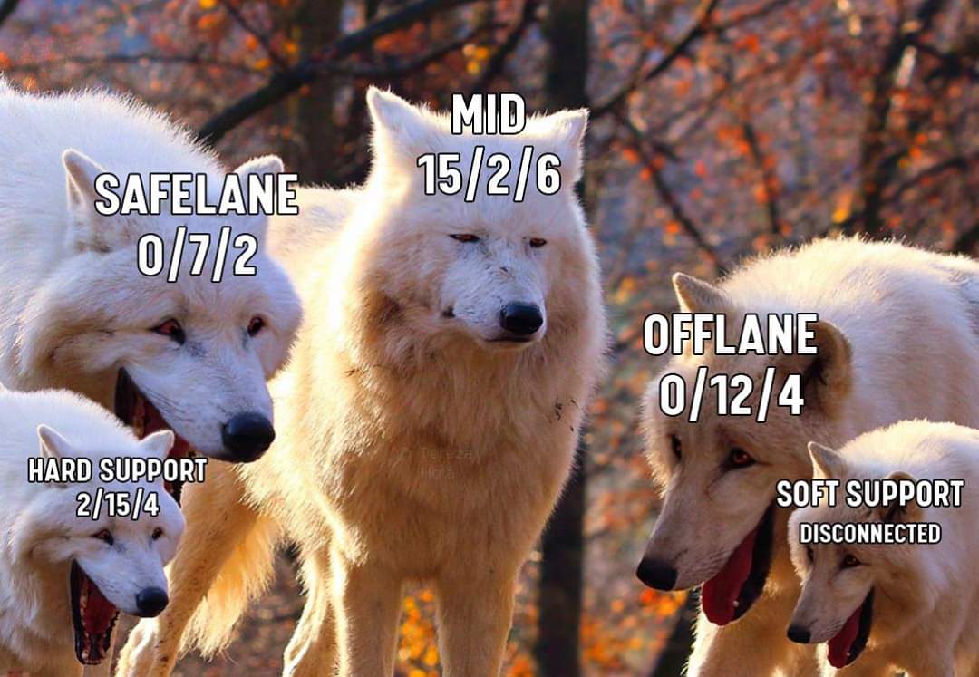 redditdota2's tweet photo. Its not your team fault https://t.co/IVoK2wqO29 #dota2 https://t.co/72ph2RdLto
