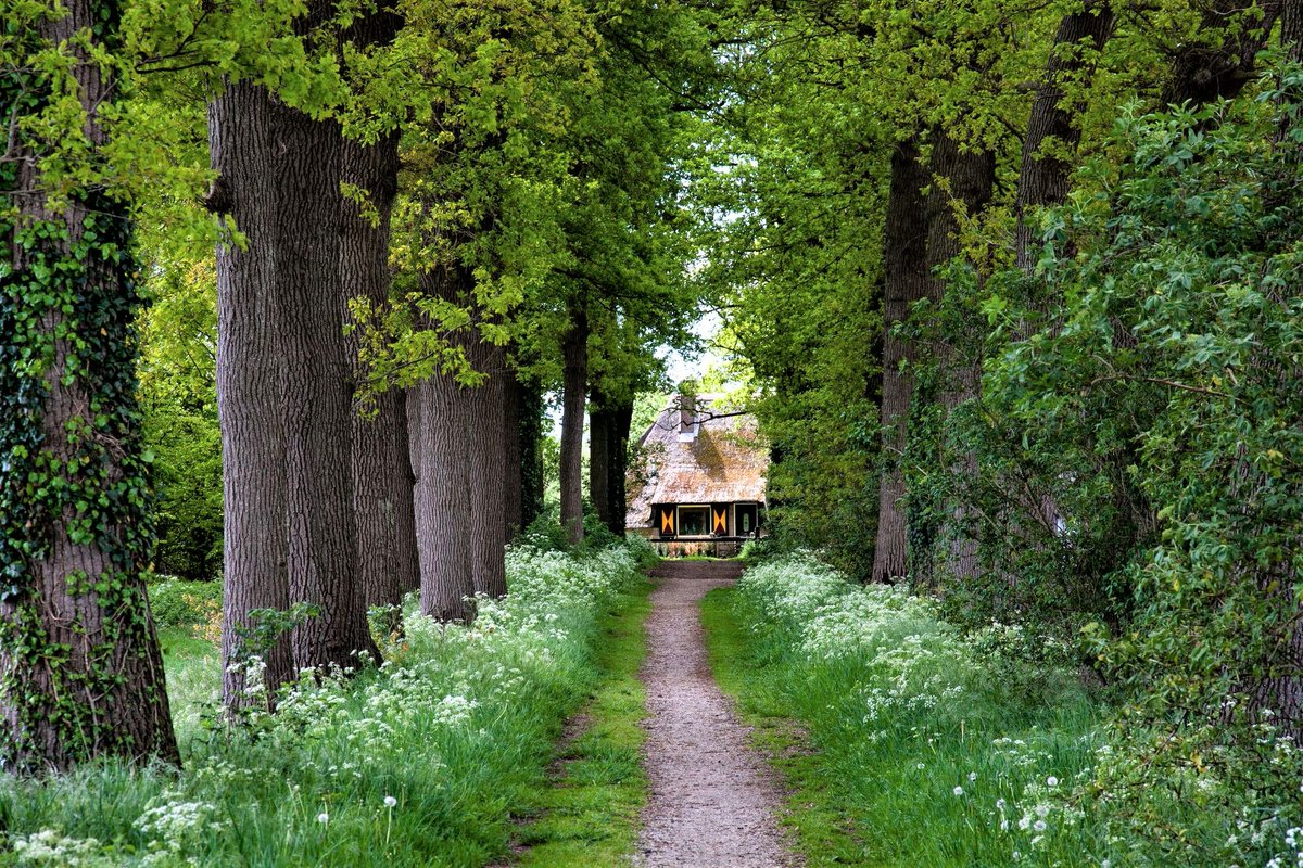 MooisteRoutes's tweet photo. Laag Zuthem wandelen, Rond den Alerdinck https://t.co/kFyxvDfvOh

Deze korte wandeling bij Heino gaat over de romantische buitenplaatsen #Colckhof en #DenAlerdinck. Hier zijn prachtige vijverpartijen en mooie bospaden....

#LaagZuthem #Heino #wandelen #natuur #walking #nature https://t.co/EHzCIy154b