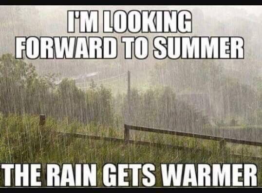 CastleClimate's tweet photo. #HumpDay anyone feeling like this? #ControlYourClimate https://t.co/u2Z26OmnI5