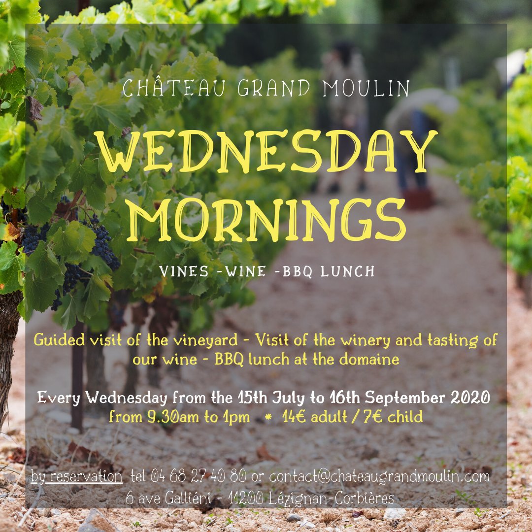 #oenotourisme #chateaugrandmoulin #visitvines #vineyard #frenchvineyard #languedoc #occitanie #vines #corbières
