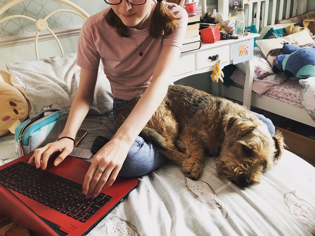 DawnDawnied's tweet photo. Learning with our furry friends today. Gus and Tilly! 🐶🐱@staynorHprimary @SelbyHigh https://t.co/5K57LkNPn6