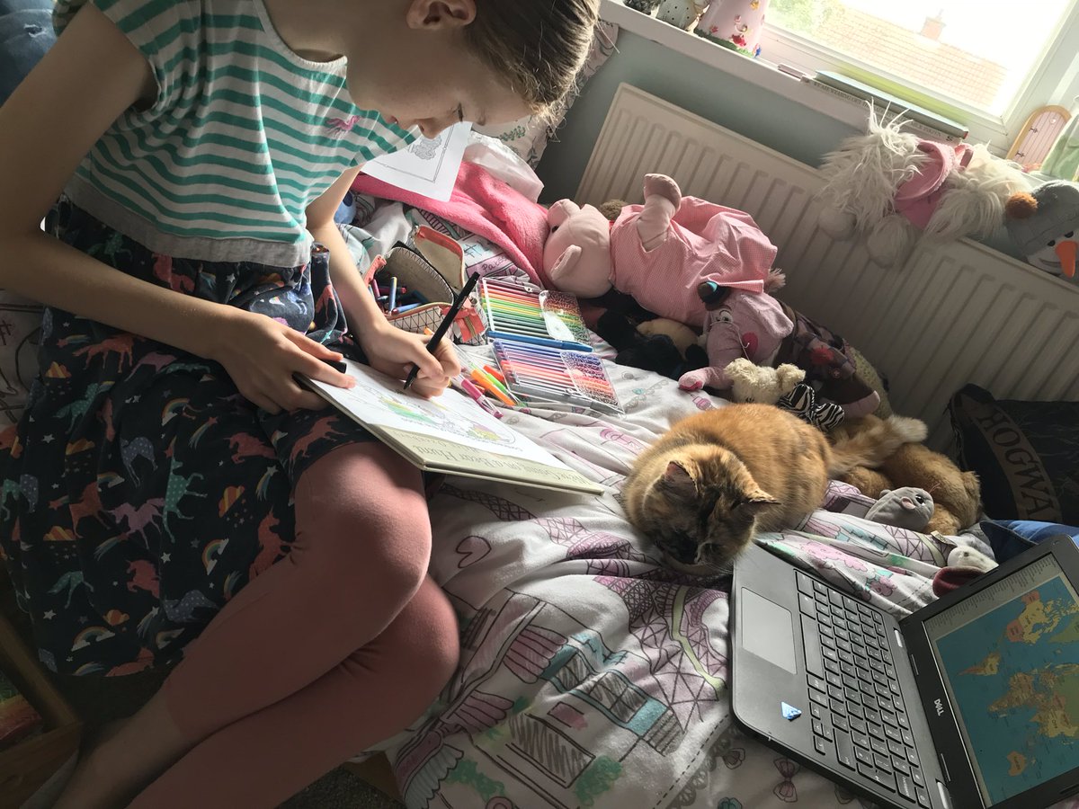 DawnDawnied's tweet photo. Learning with our furry friends today. Gus and Tilly! 🐶🐱@staynorHprimary @SelbyHigh https://t.co/5K57LkNPn6
