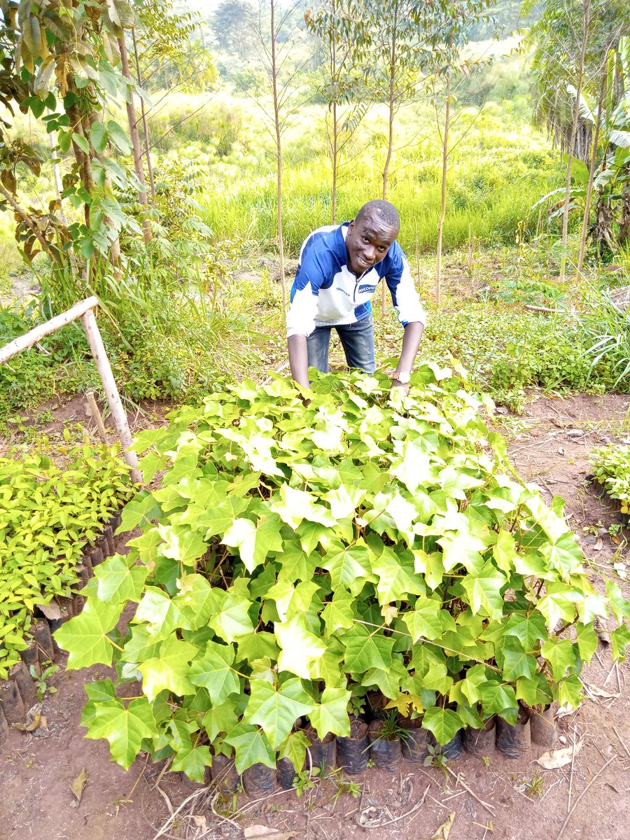 ChrismarvinsT's tweet photo. Enhancing climate change adaptation and mitigation capacity of farmers. We have to learn how to protect our environment from further destruction as well as carrying out productive activities like urban farming and climate smart agriculture.
#trinityforestryservices https://t.co/DGoFu4L41p