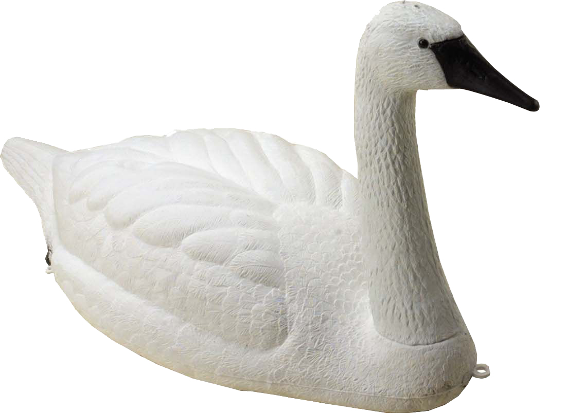 horseandhoof's tweet photo. #winitwednesday July Prize Draw is for a set of two sport plast life size Swans To enter Retweet, Like and Follow us 
@horseandhoof

 ends 31/7/20 #win #horseandhoof https://t.co/HLaSq2CtF4